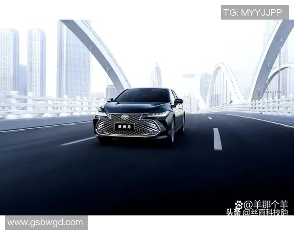 上海乒乓球队在洲际杯积分榜上以81分稳居第一名展现强劲实力