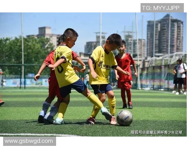 某足球16引领新潮流打造青少年足球梦想的摇篮与舞台