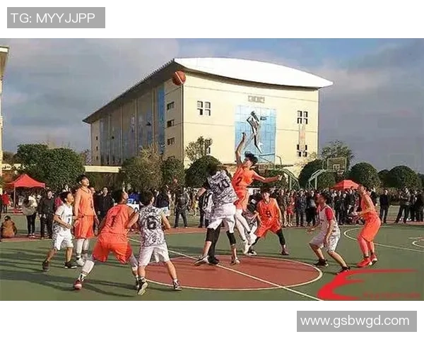 重庆篮球队实力飙升力压群雄创下历史新高