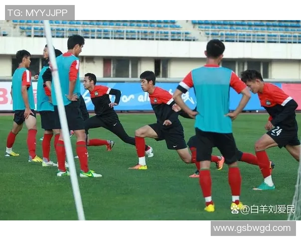 足球3级训练体系探索与实践提升青少年足球技能与竞技水平的有效途径