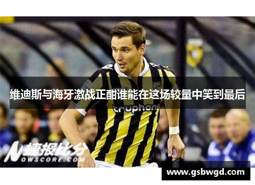 维迪斯与海牙激战正酣谁能在这场较量中笑到最后